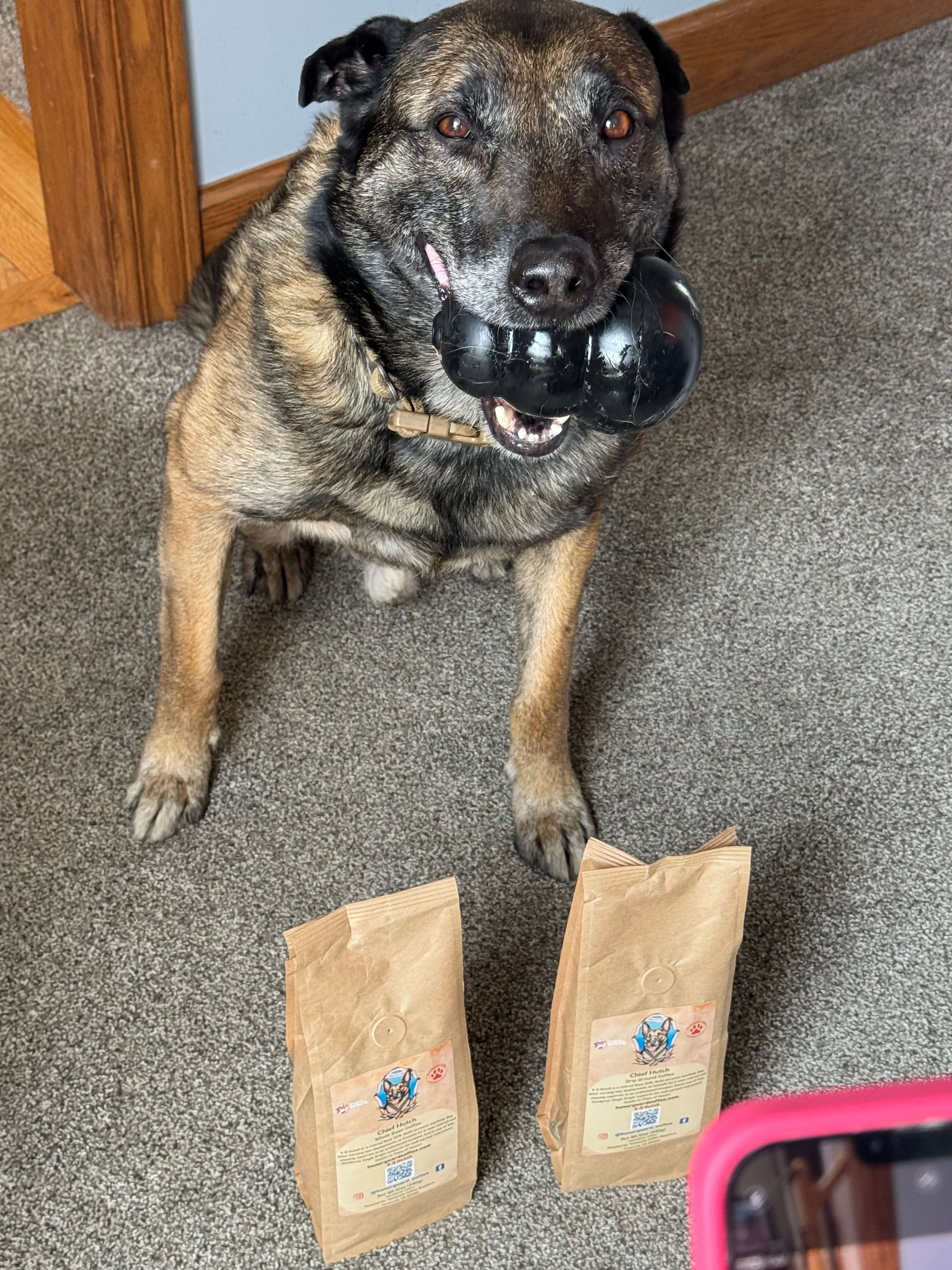 April Mission Update: New Partnerships, Viral Growth, and Service Dog Progress