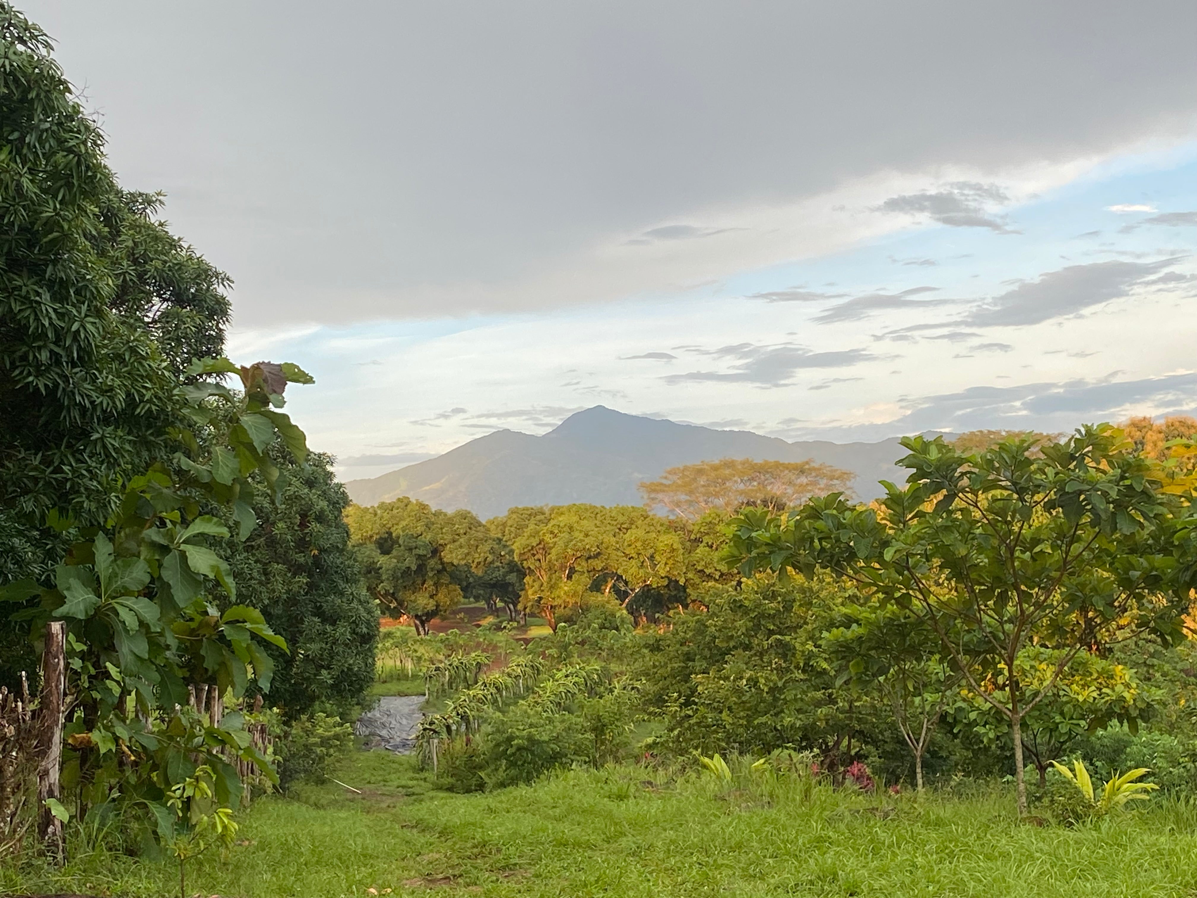 July Mission Report: 230 Lives Touched