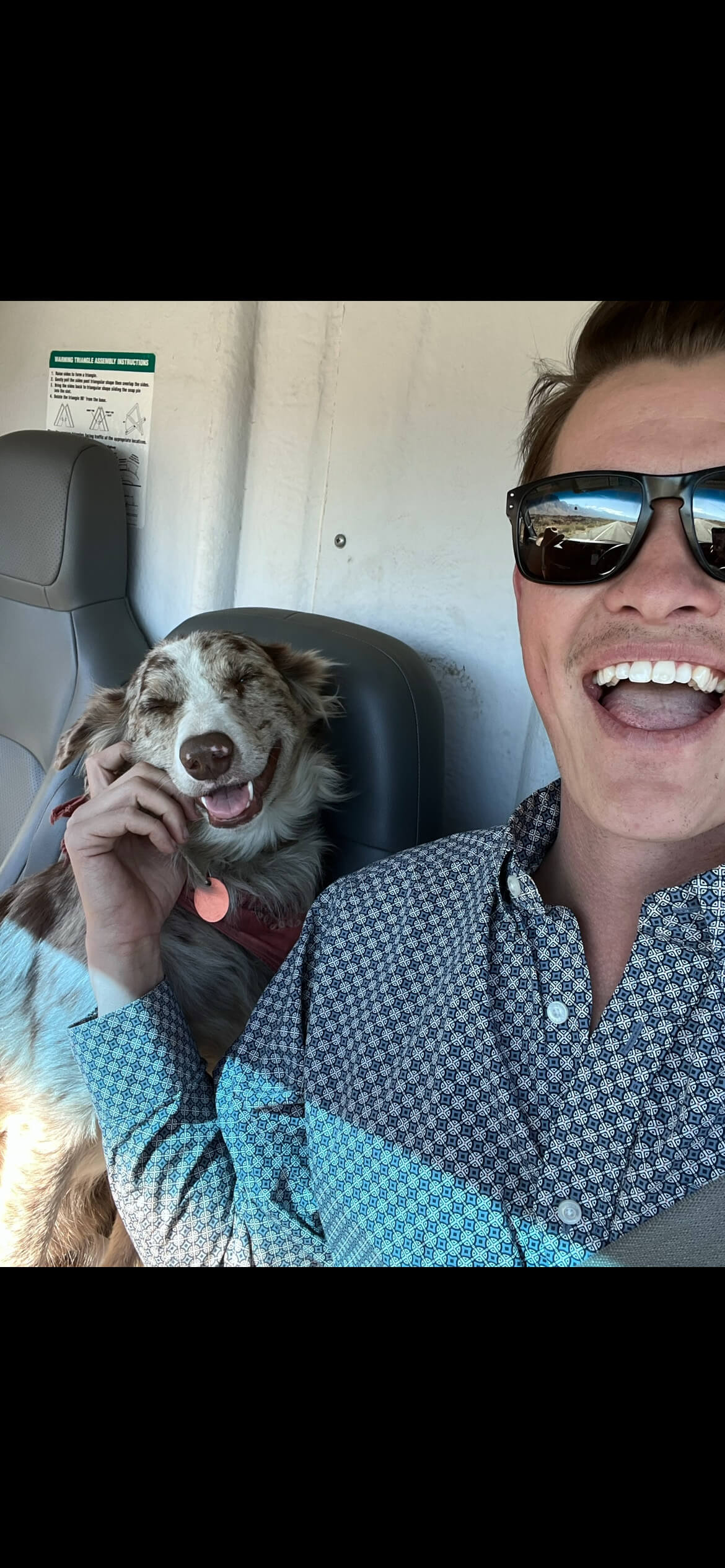 Sweet sunny the border collie service dog loves adventure and loose leaf tea herbal tea & coffee