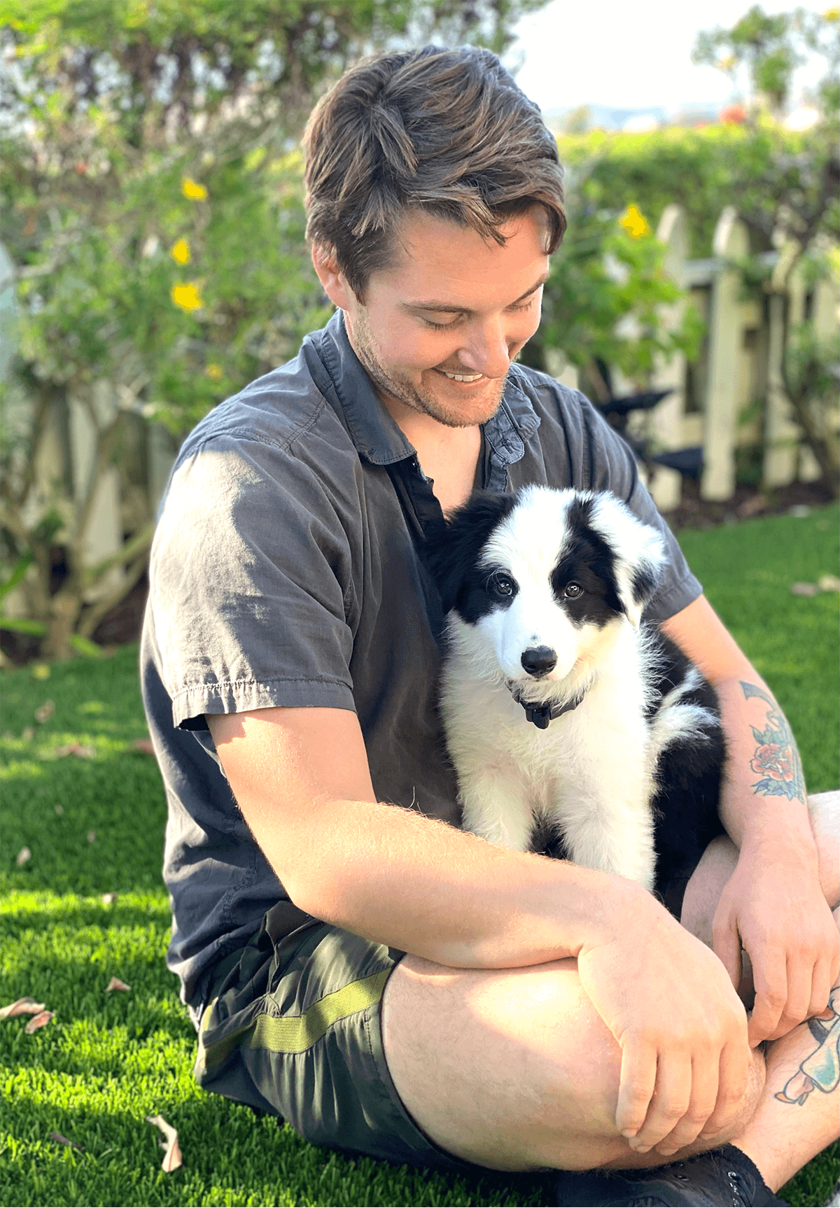 Border collie service dog venus saves Marine Veteran